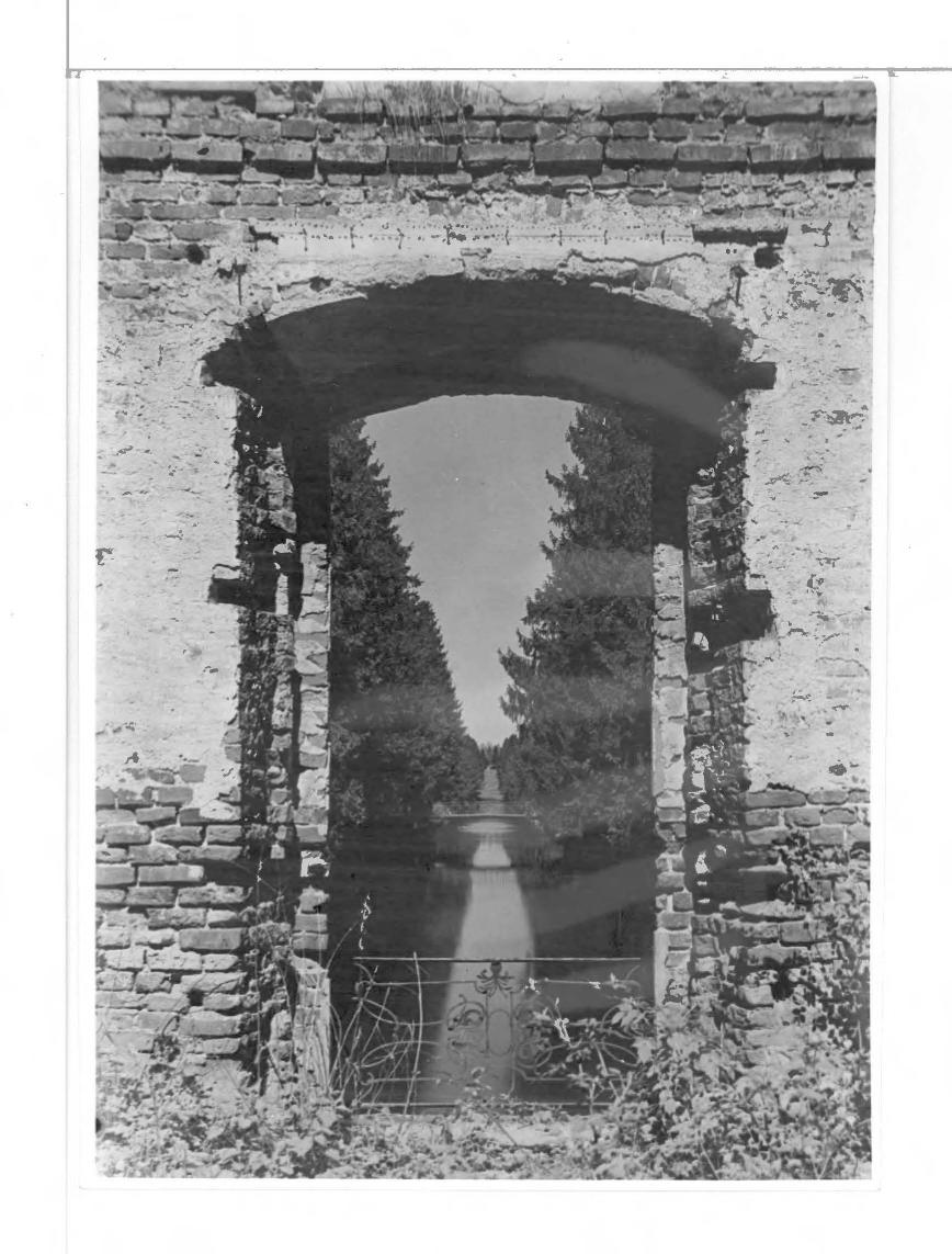 11 fotografii czarno-białych; park , skan 5