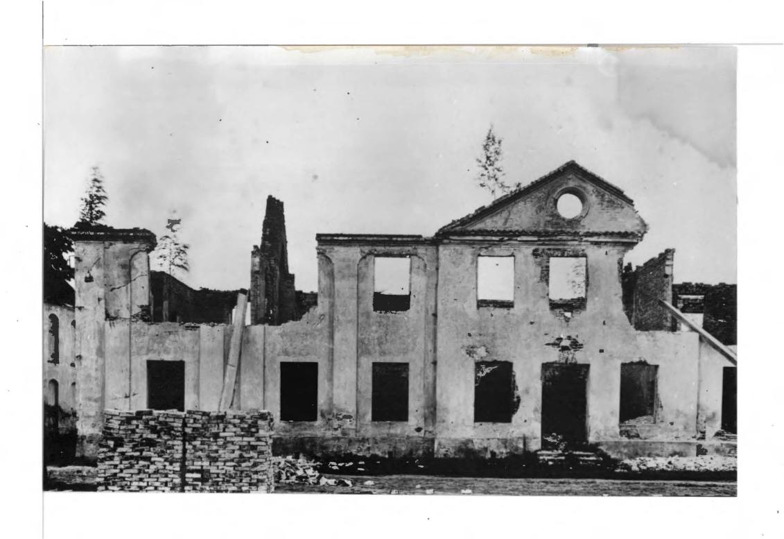 11 fotografii czarno-białych; park , skan 7