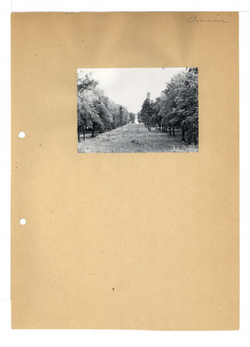 11 fotografii czarno-białych; park , skan 17