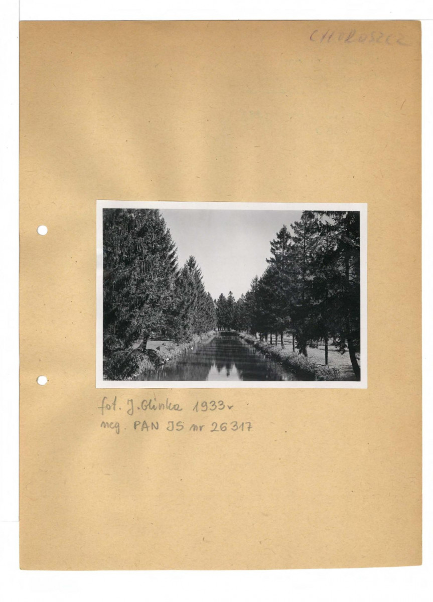 11 fotografii czarno-białych; park , skan 19