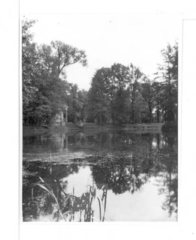 7 fotografi czarno-białych przedstawiających park, skan 3