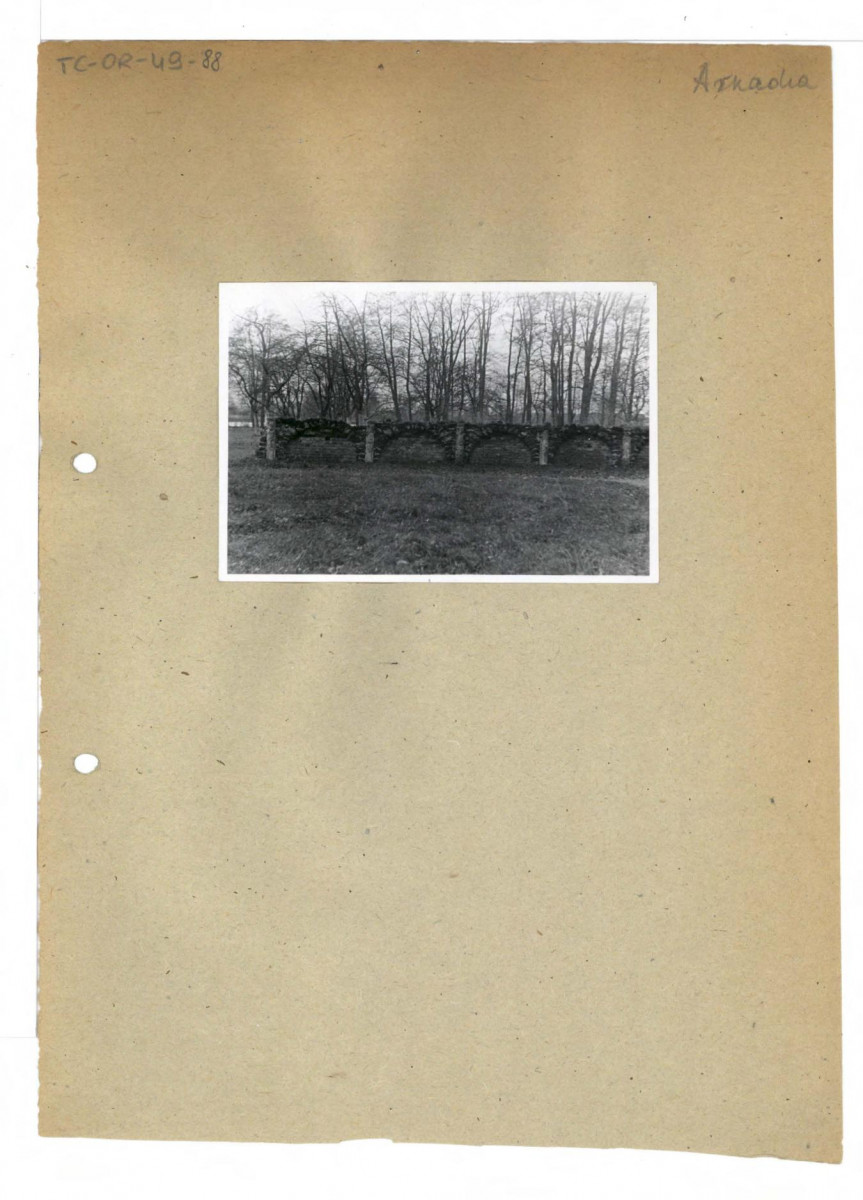 fotografia czarno-biała, mur w parku, skan 1