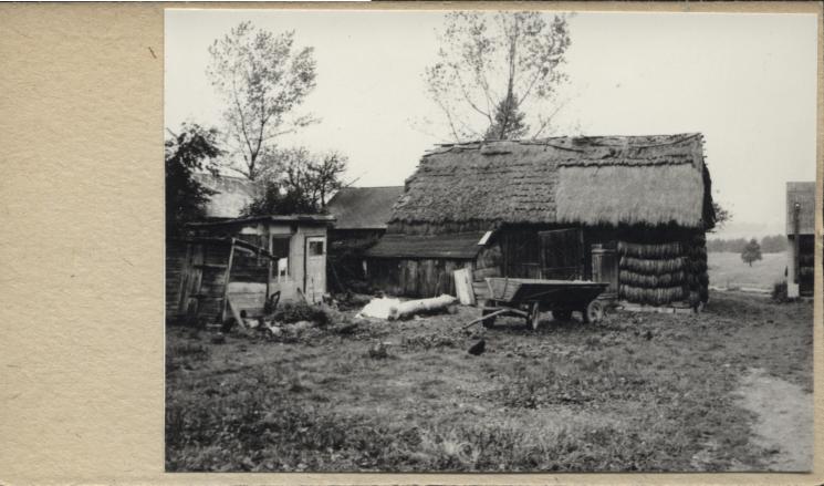 stodoła, skan 3