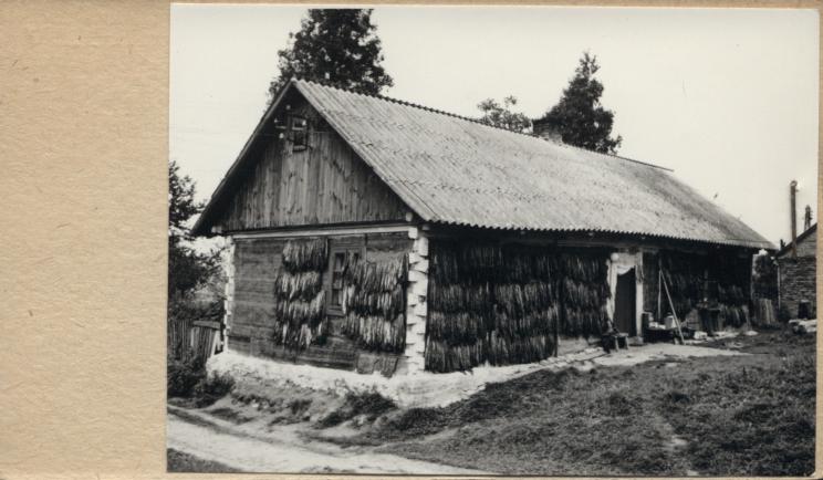 chałupa, skan 3