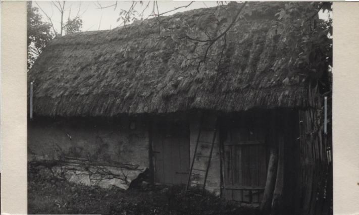 obora, skan 2
