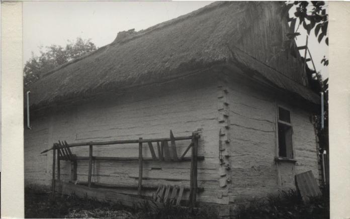 dom, skan 2