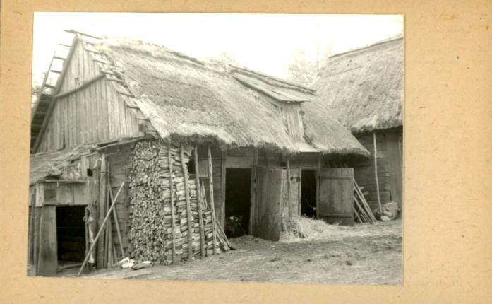 obora, skan 3