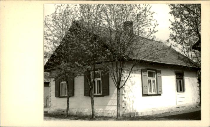dom, skan 3