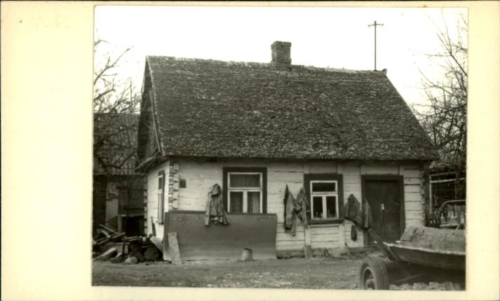 dom, skan 3