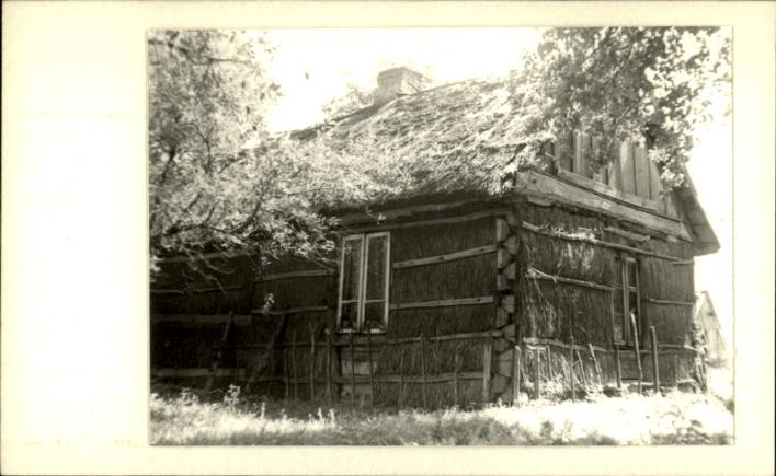 dom, skan 3