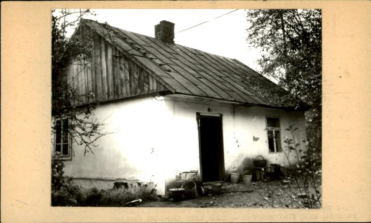 dom, skan 3