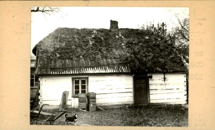 dom, skan 3