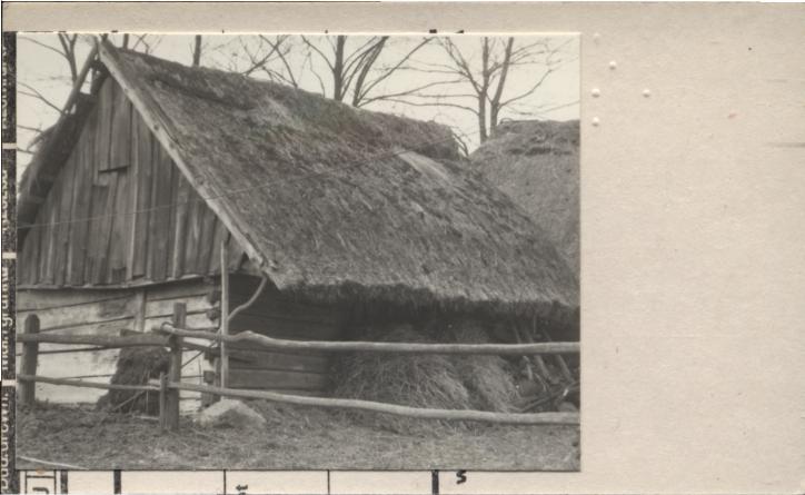 obora, skan 2