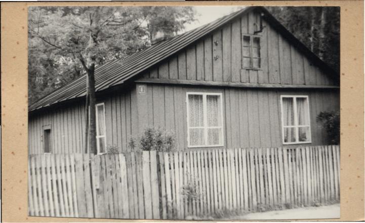 dom, skan 3