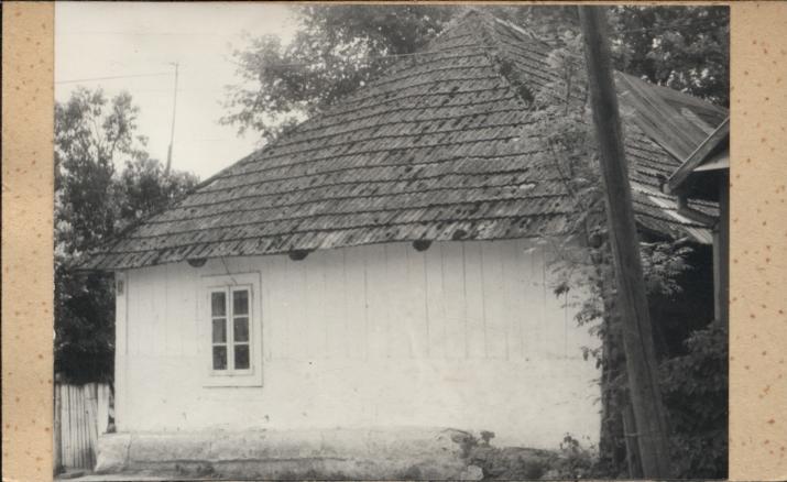 dom, skan 3