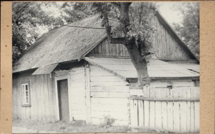 dom, skan 3