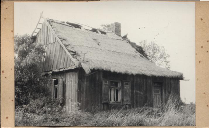 dom, skan 3