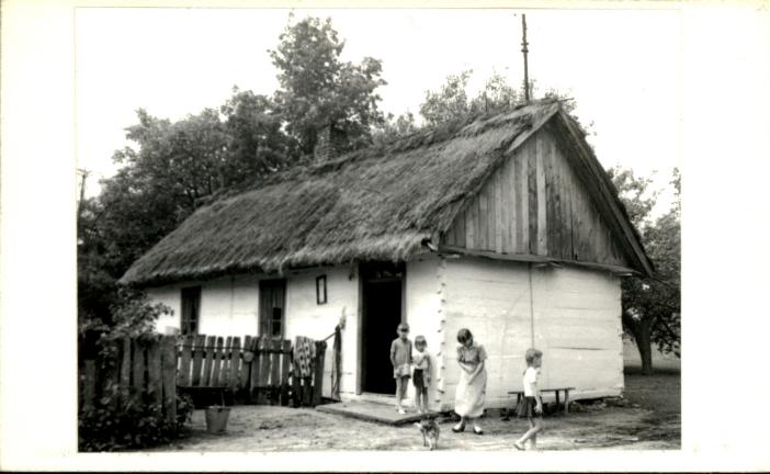 dom, skan 3