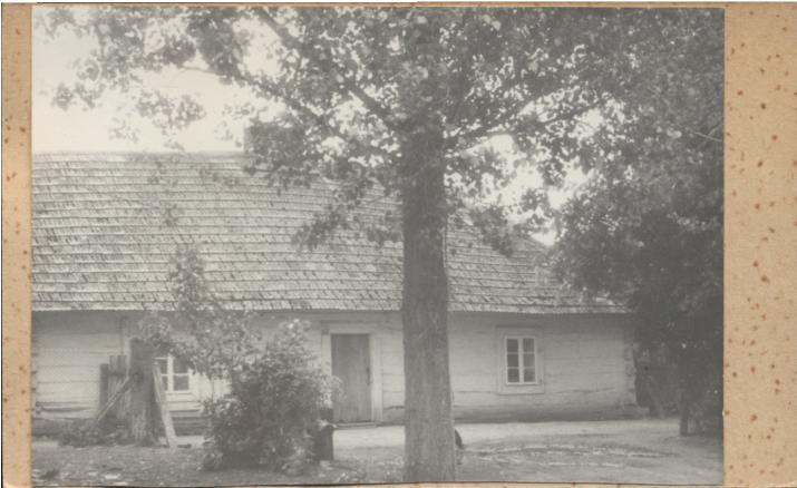 dom, skan 5