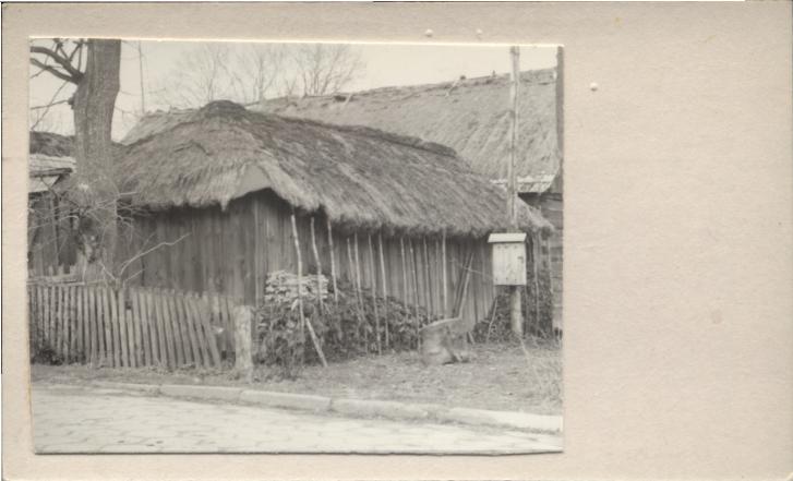 podszopie, skan 2