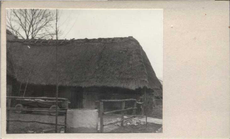 obora, skan 2