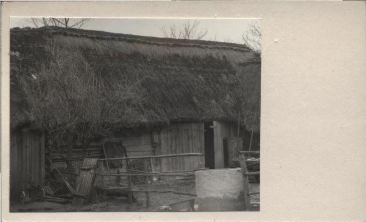 stodoła, skan 2