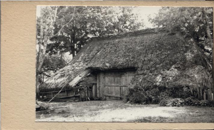 stodoła, skan 3