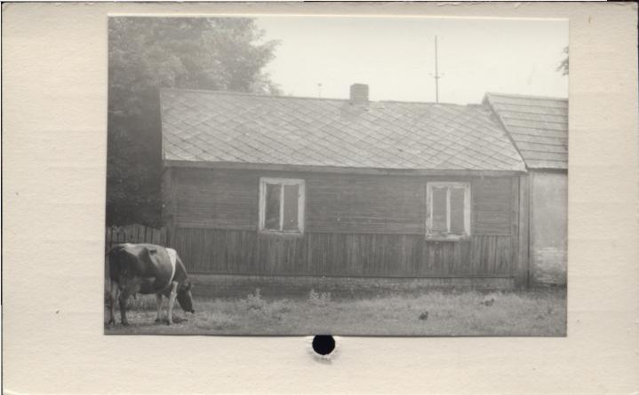 dom, skan 3