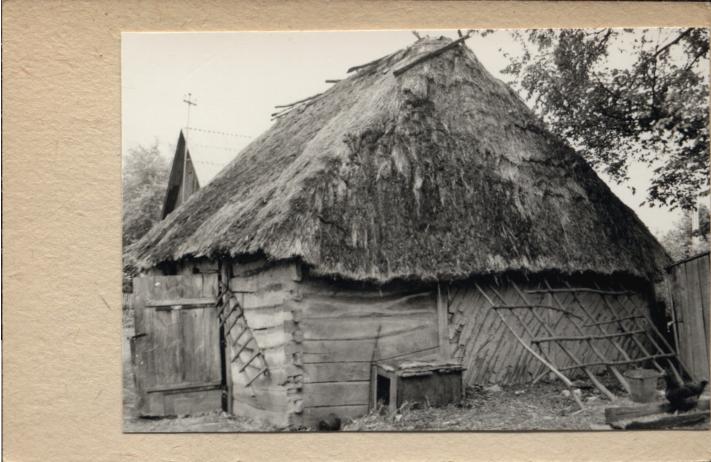 obora, skan 3