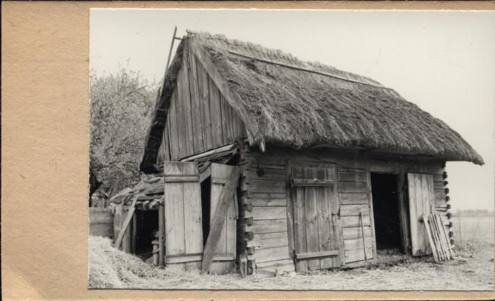 obora, skan 3