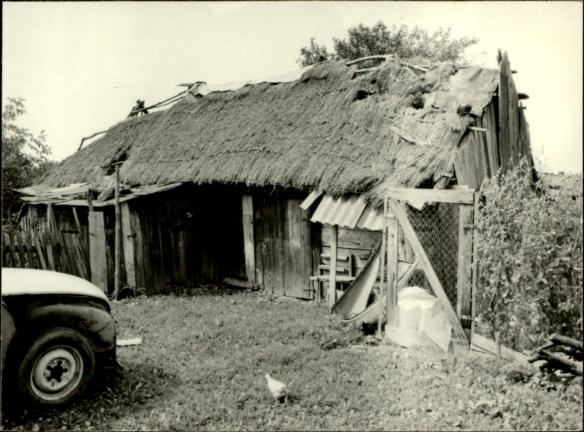 stodoła, skan 3