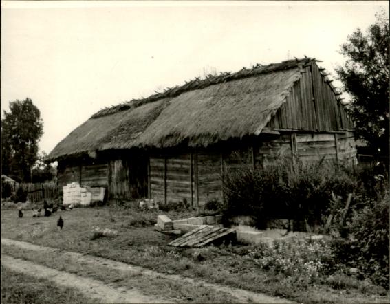 stodoła, skan 3