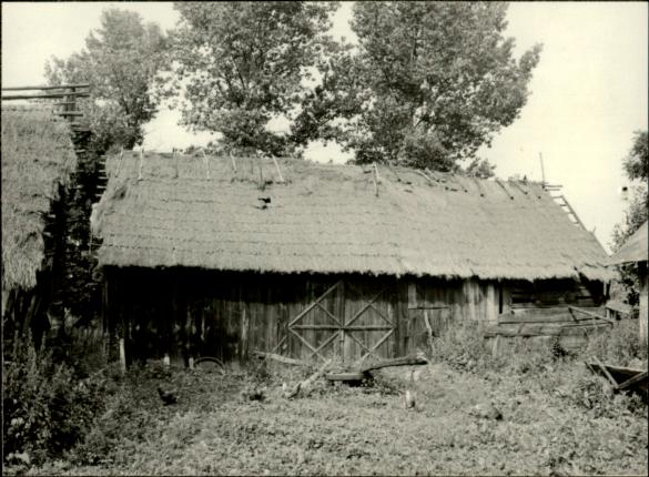 stodoła, skan 3