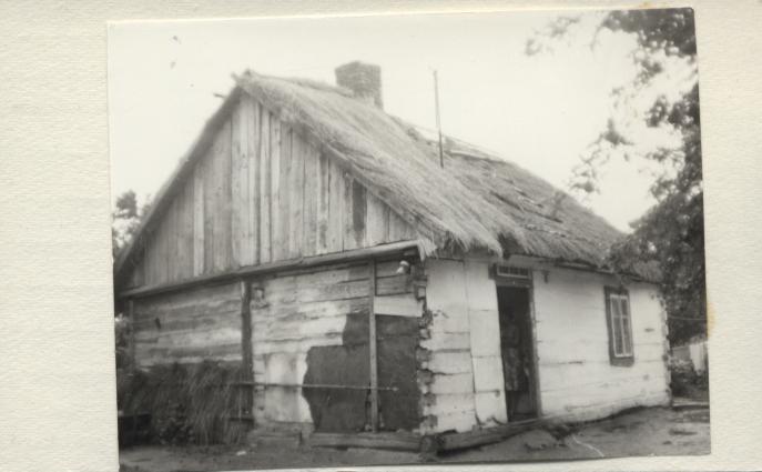 dom, skan 3