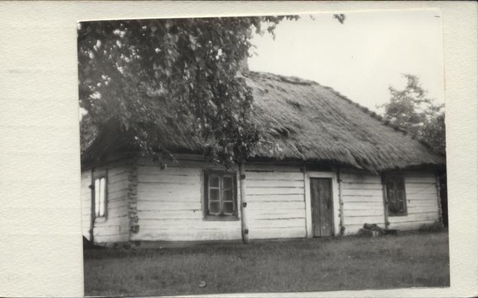 dom, skan 3