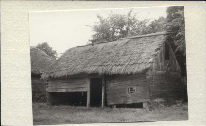 obora, skan 3