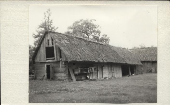 spichlerz, skan 3