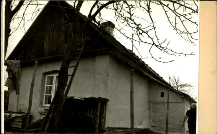dom, skan 3