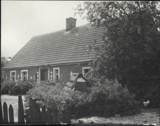 dom, skan 3