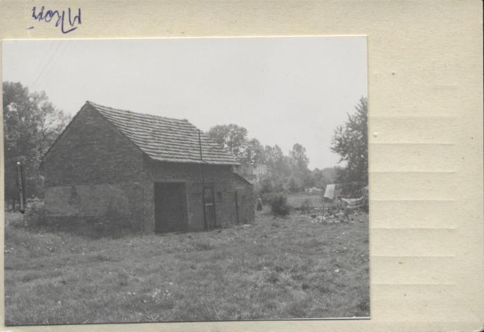 chlew w zagrodzie, skan 3