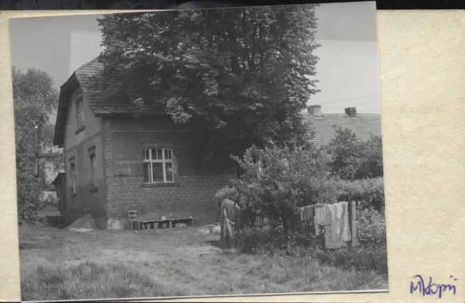 dom, skan 3