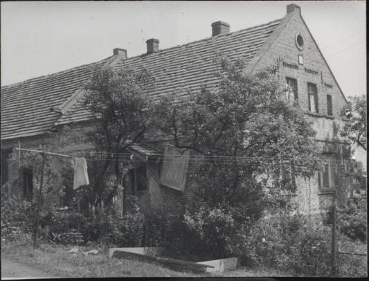 dom, skan 3