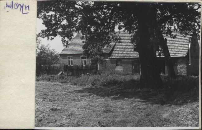 dom, skan 3