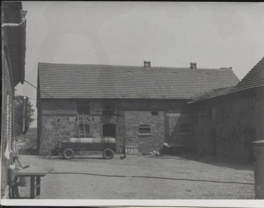 obora w zagrodzie, skan 3