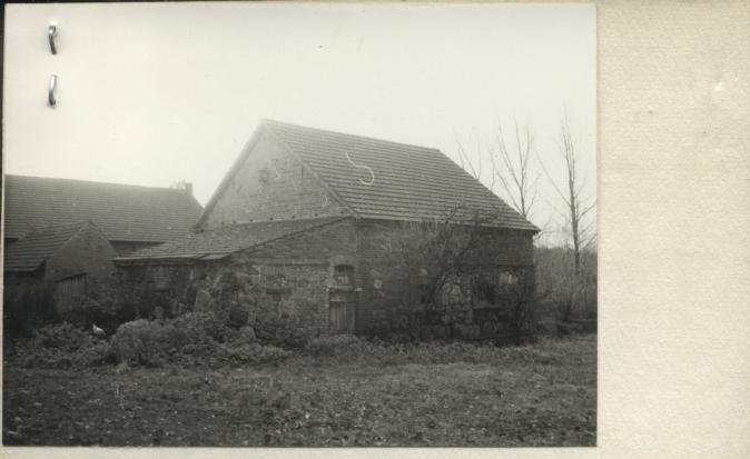komórka, skan 2