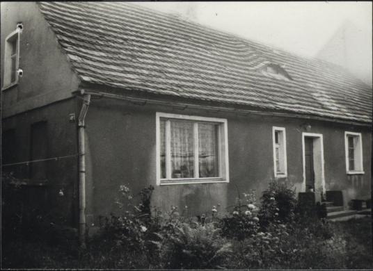 dom, skan 2