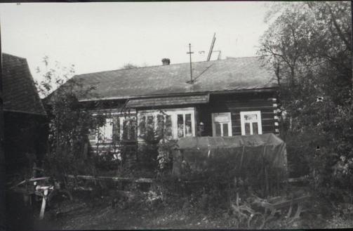 dom, skan 3