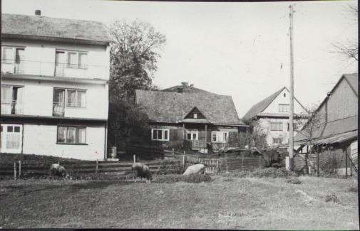 dom, skan 5