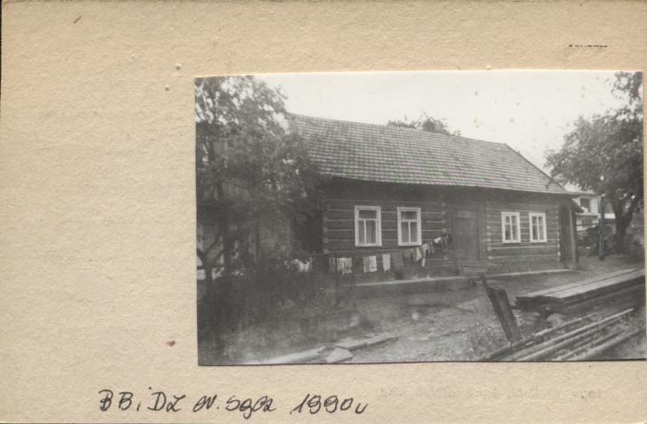dom, skan 2