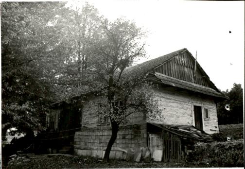 dom, skan 2